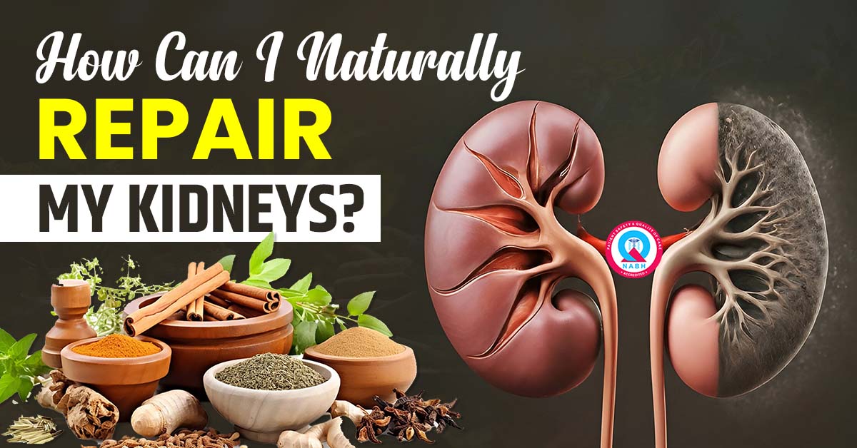 how-can-i-naturally-repair-my-kidneys